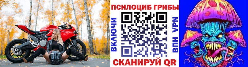 блэк спрут   Александровское  Галлюциногенные грибы мицелий  дарнет шоп 
